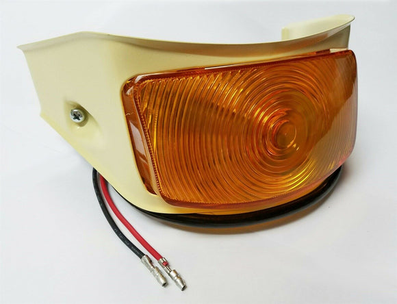 Lámpara Luz Intermitente de Estacionamiento 1955 Ford Camioneta + Direccional * Borde Crema